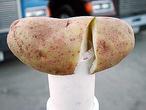 split spud
